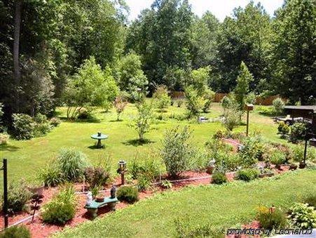 Rock Laurel Bed And Breakfast Candler Kemudahan gambar
