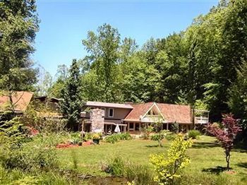 Rock Laurel Bed And Breakfast Candler Luaran gambar